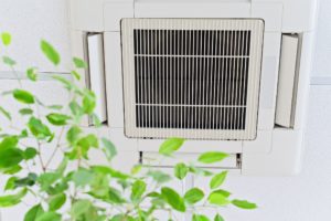 Indoor Air Quality In Plant City, Lakeland, Brandon, FL and Surrounding Areas